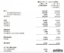 高鑫零售：截至2021年3月31日15个月实现收入1243.34亿元